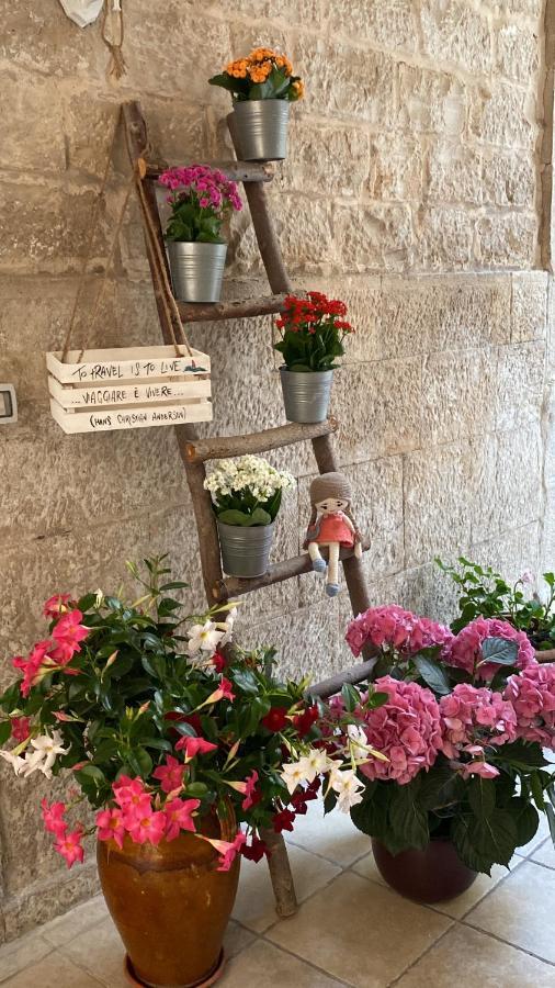 Il Saraceno Apartment Giovinazzo Eksteriør bilde